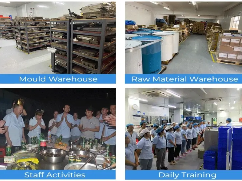 Our silicone team training on silicone manufacturing processes and quality control standards.